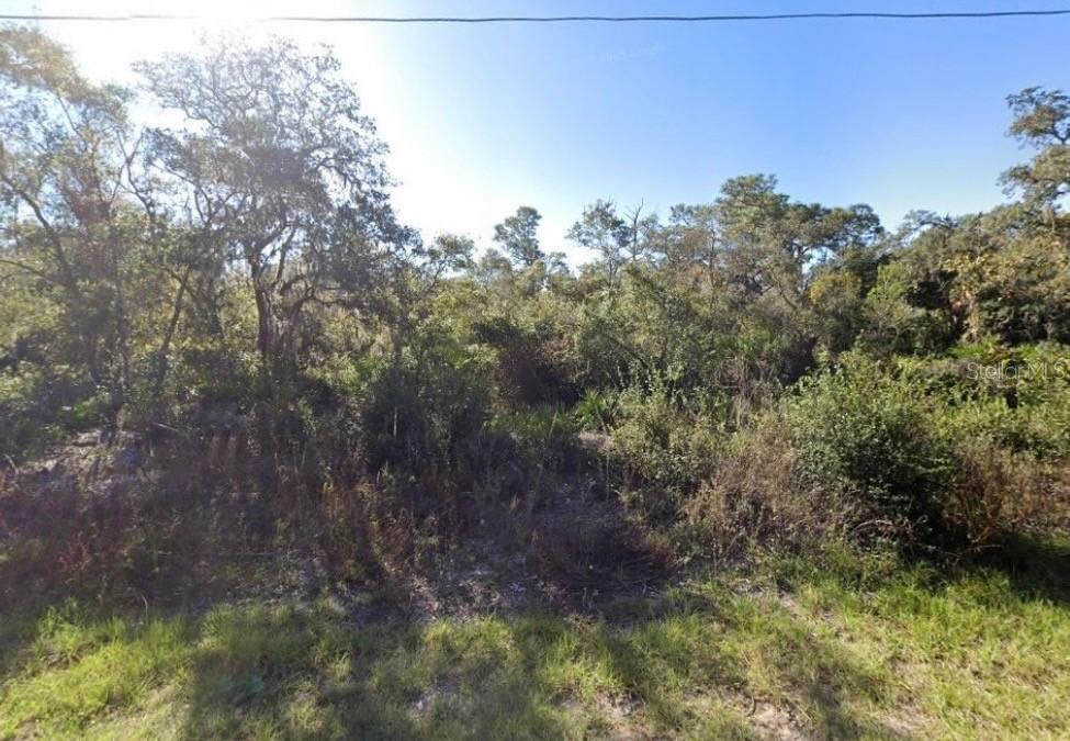 441 Vernon Ct., Kissimmee, FL 34759