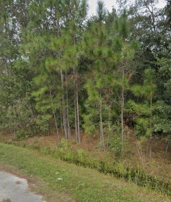 1437 Tern Ct., Poinciana, FL 34759