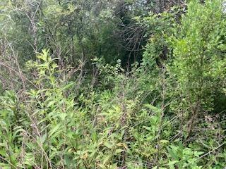 Sweetwater Tr., Kissimmee, FL 34747