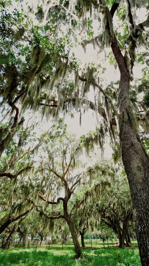 Parkway Ave., St Cloud, FL 34772