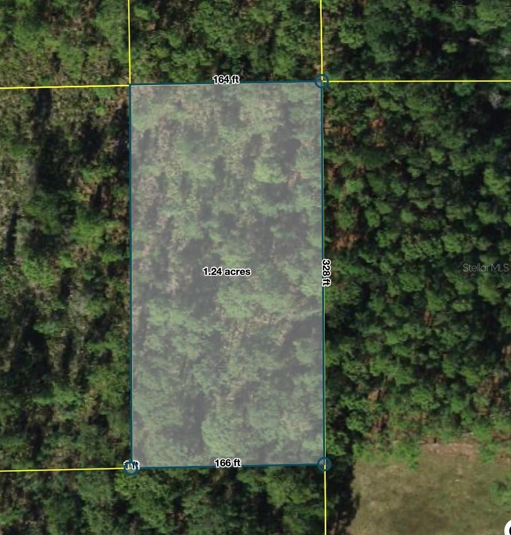 Polk City, Polk City, FL 33868