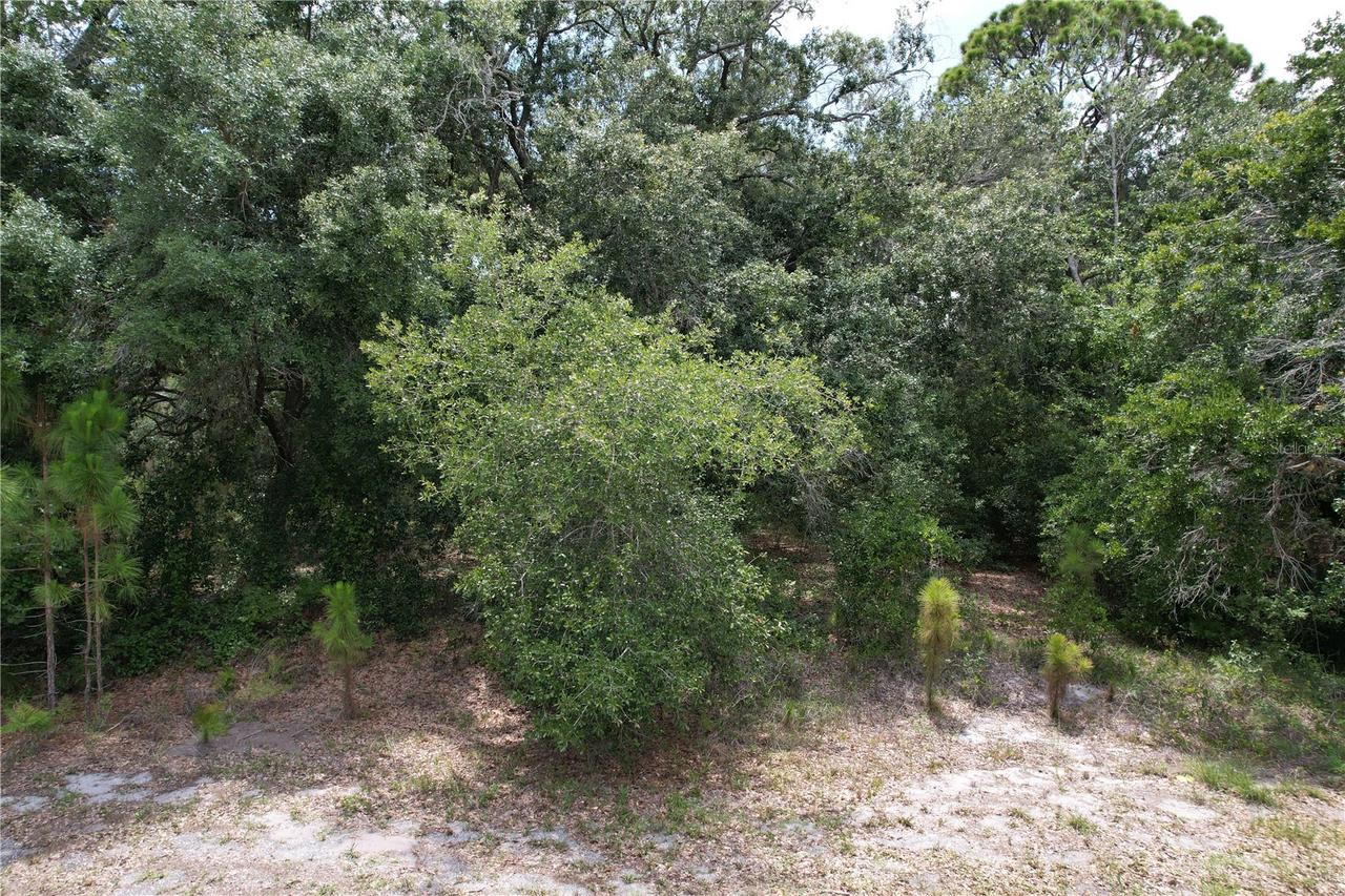1008 Wildflower St., Lake Placid, FL 33852