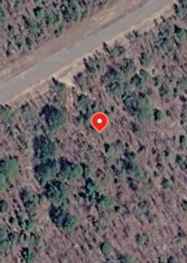 Albion Dr. #35, Chipley, FL 32428