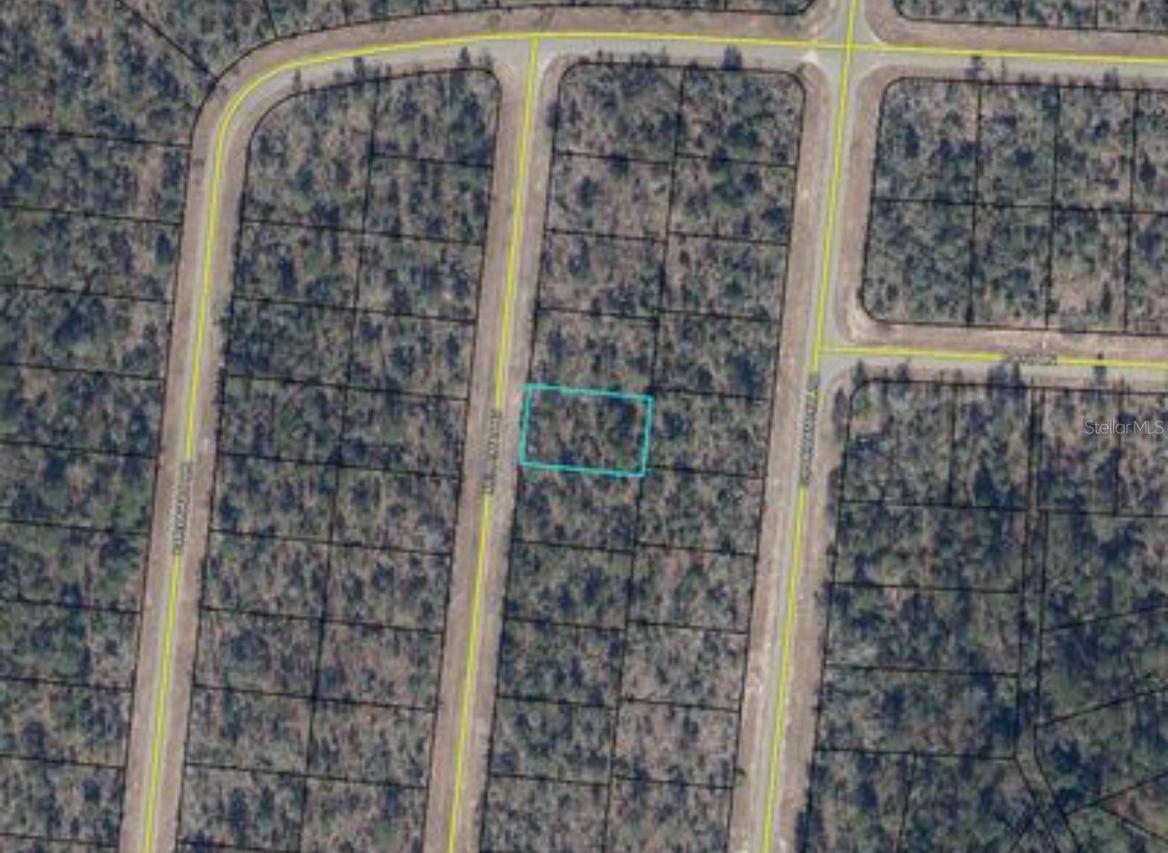 Merrimac Ave., Chipley, FL 32428