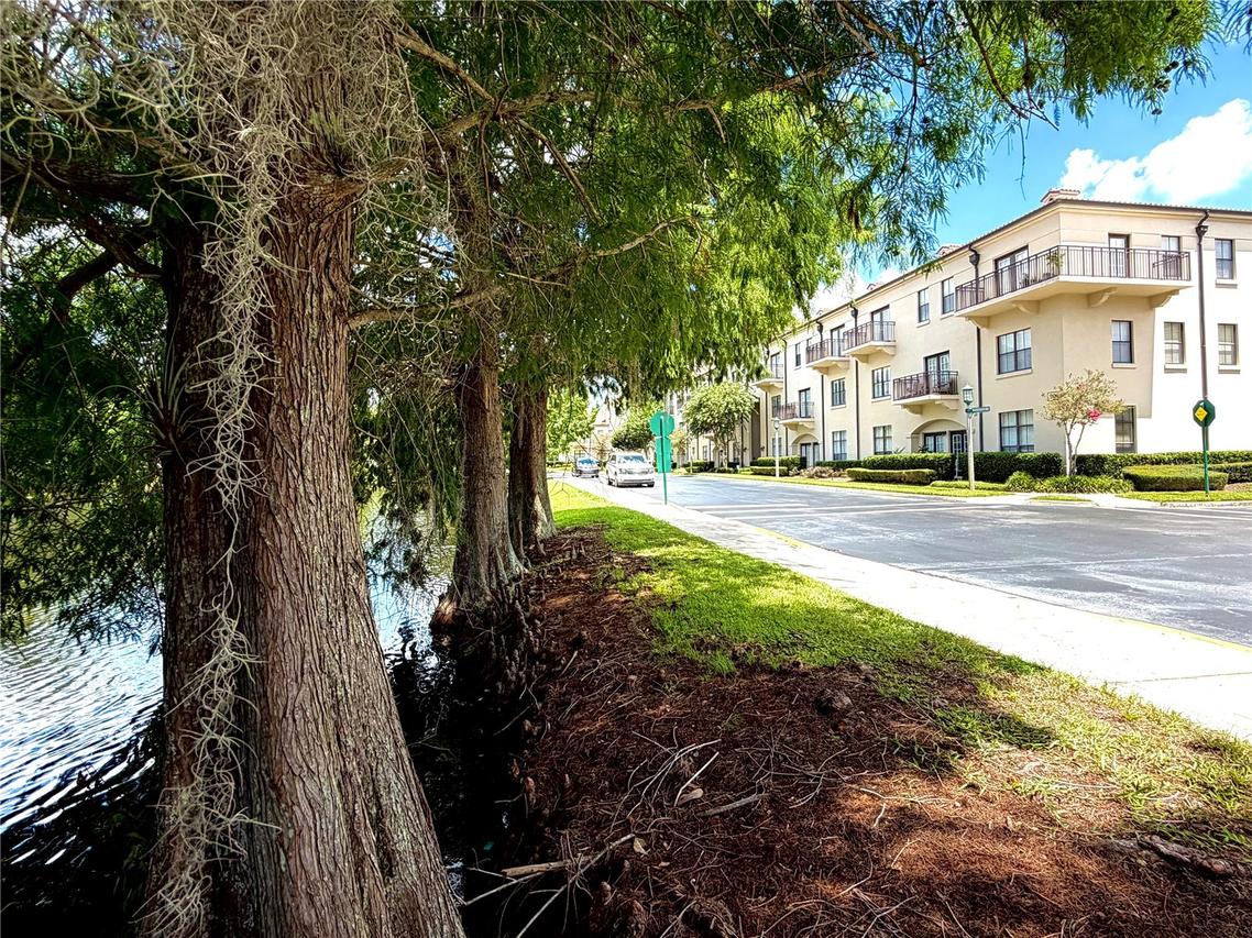 909 Waterside Ln. #205, Celebration, FL 34747