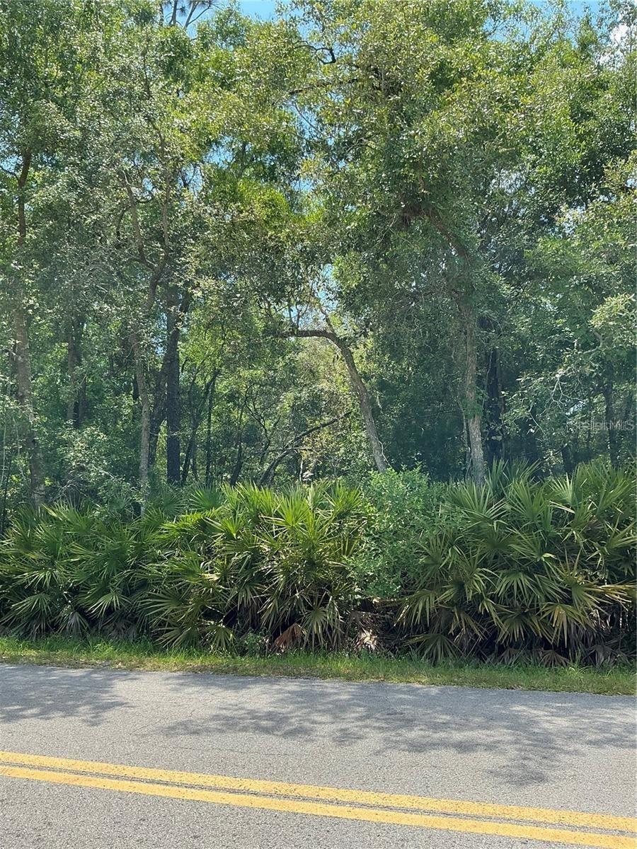 Lot 15 Nw 118th Ter, Ocala, FL 34482