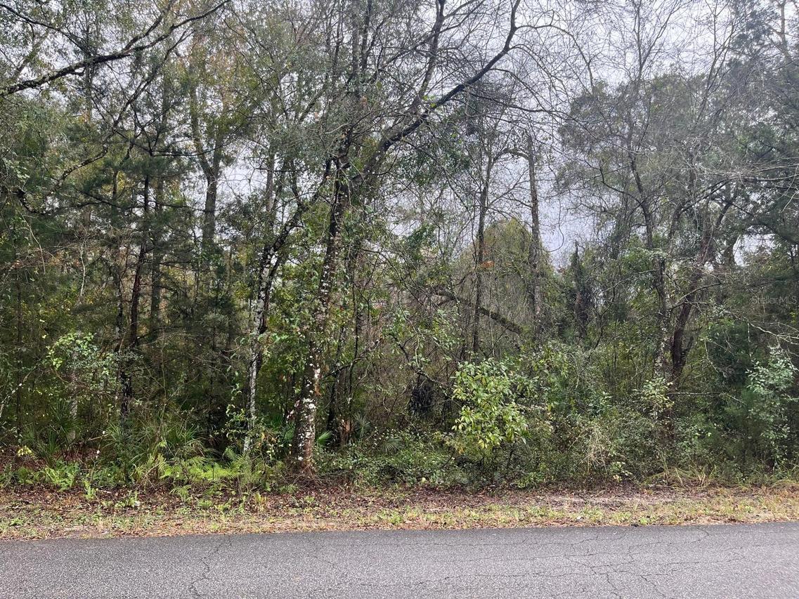 Nw 17 Pl., Ocala, FL 34482