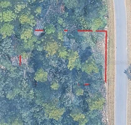 LOT 12 No Situs, Ocala, FL 34472