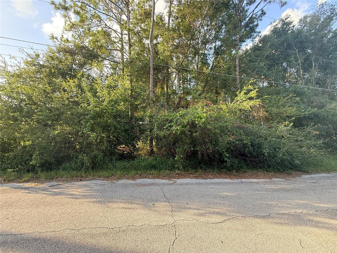 Wilfred St, St Cloud, FL 34769