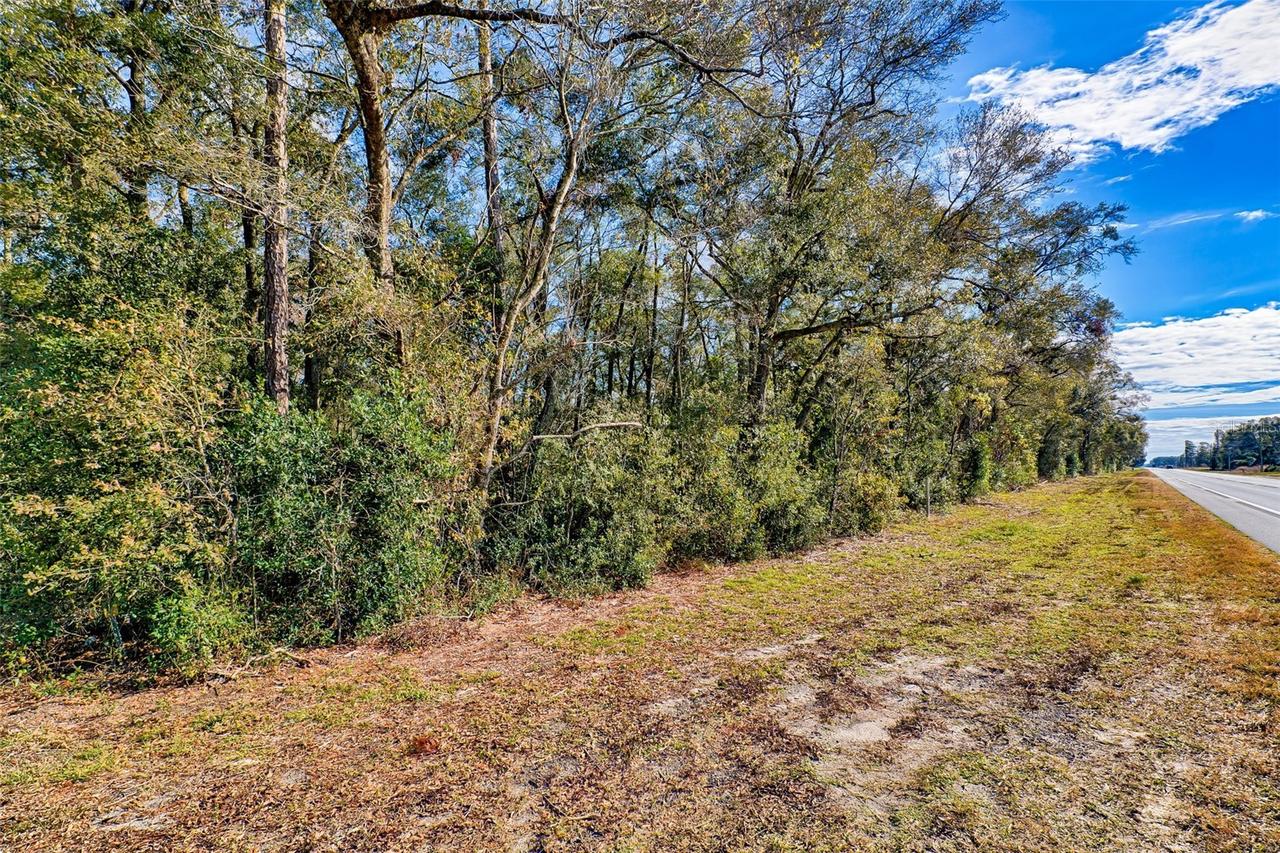 S Us Hwy 129, Bell, FL 32619