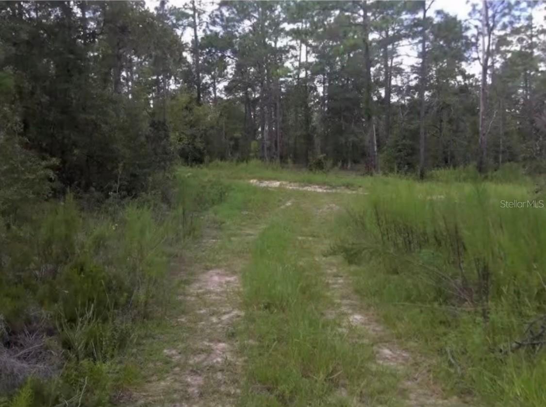 25TH PL Lot 16 Sw 25th Pl, Ocala, FL 34481