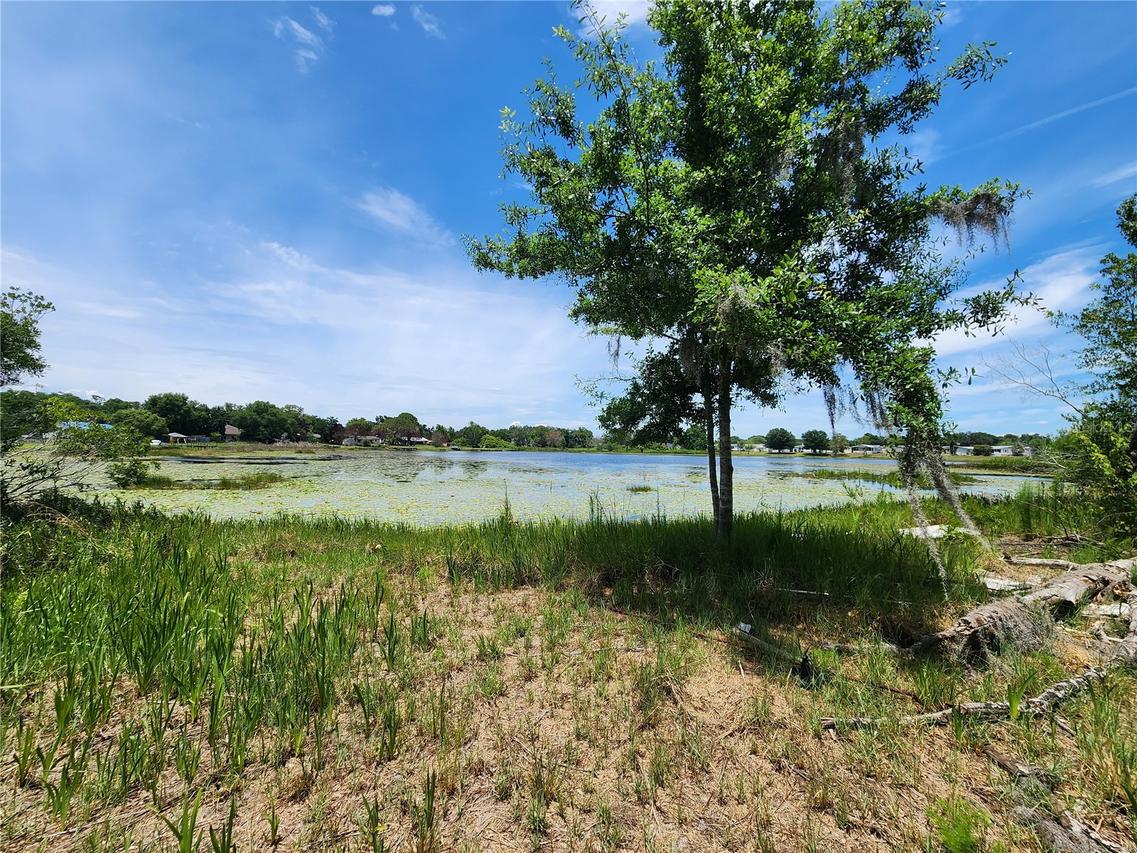 Arrowhead Blvd., Winter Garden, FL 34787