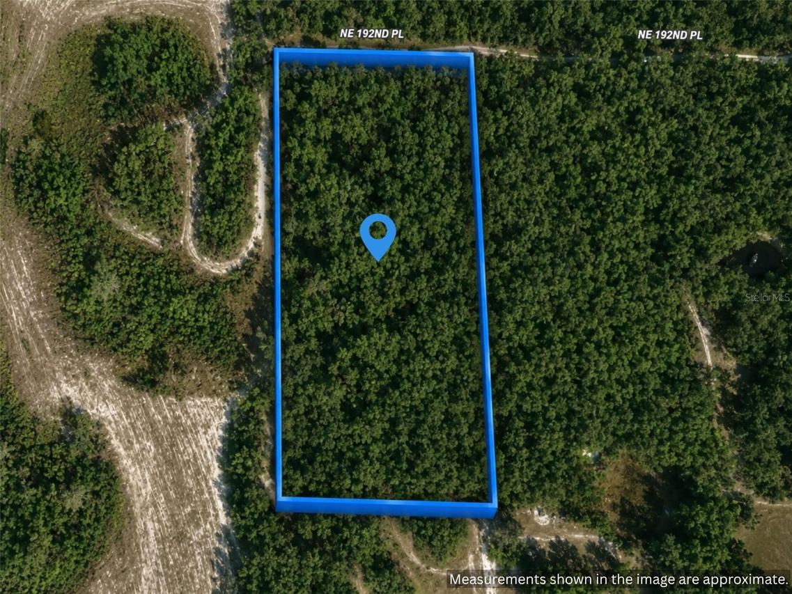 Xx, Citra, FL 32113