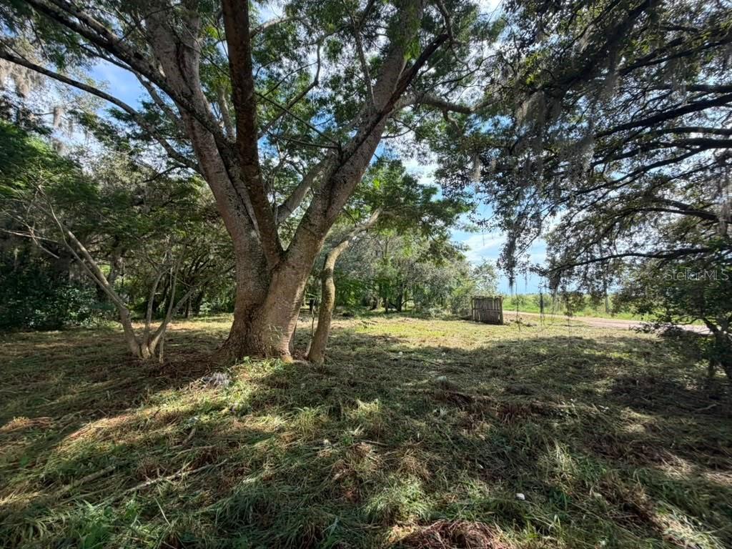 8156 Dogyard Rd., Lake Wales, FL 33898