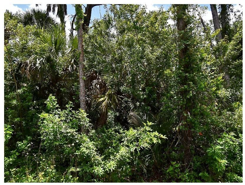 Numera Ave., North Port, FL 34288
