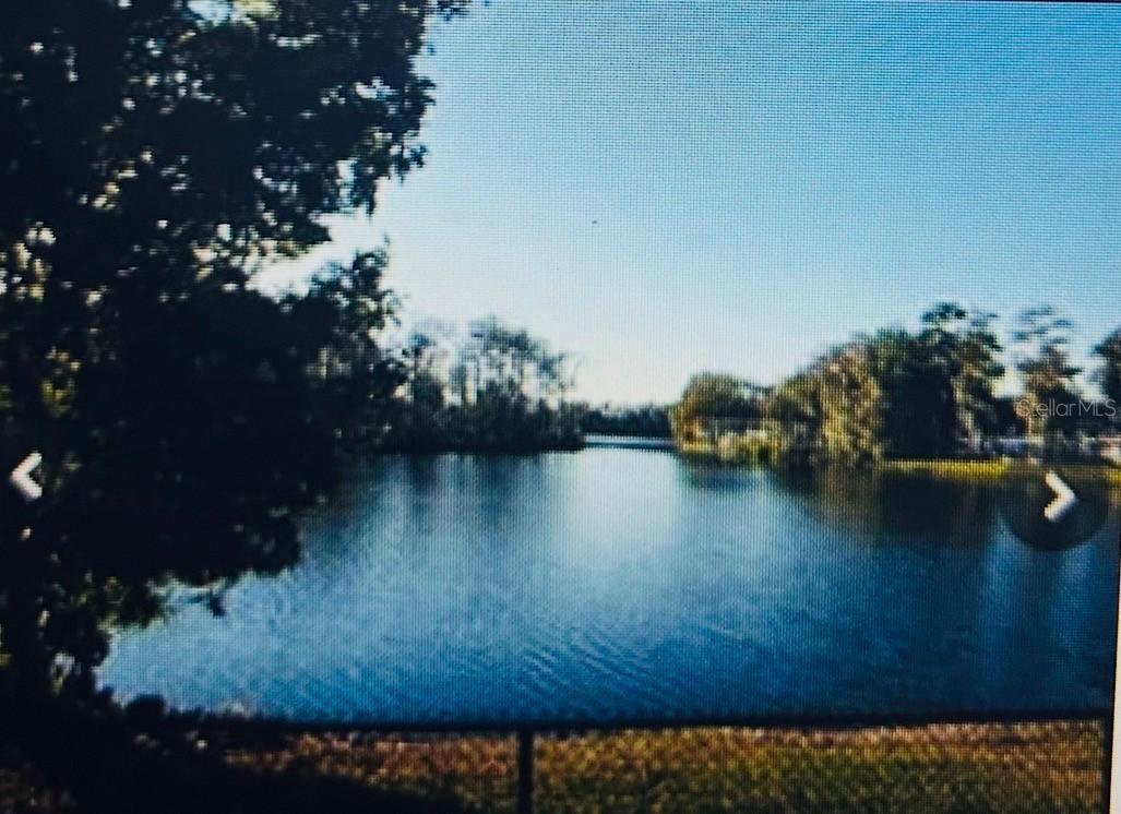 282 Seal St., Kissimmee, FL 34743