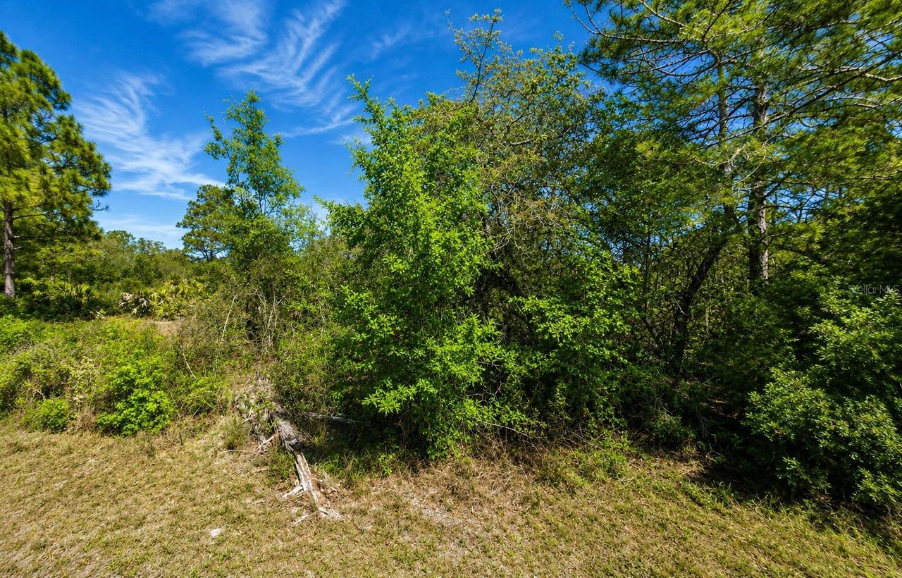 104 Tobler Ter., Lake Placid, FL 33852