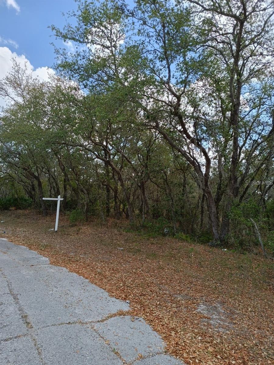 429 Naples Ct., Kissimmee, FL 34759