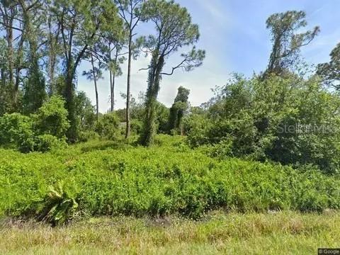 432 Branbury Ave., Lake Placid, FL 33852