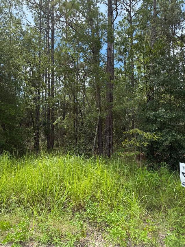 4500 SW 175 Ct., Dunnellon, FL 34432