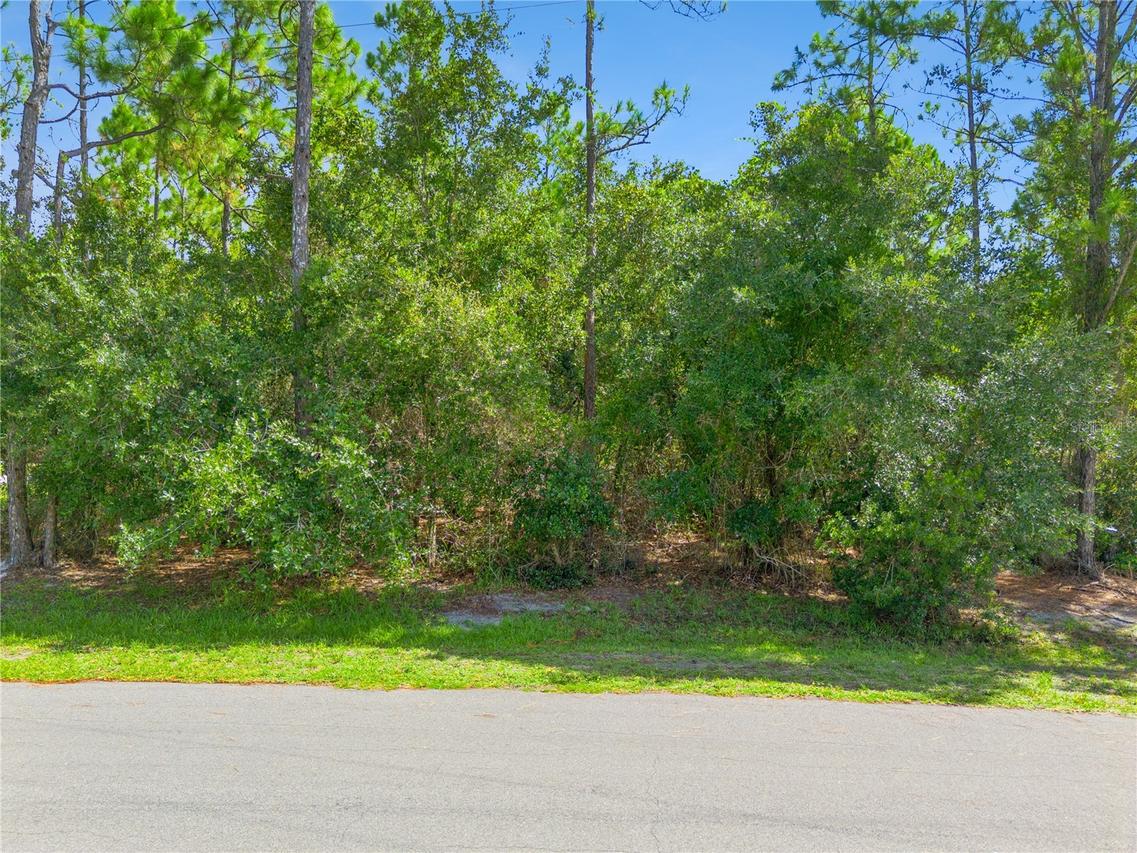 Mustang Ct., St Cloud, FL 34771