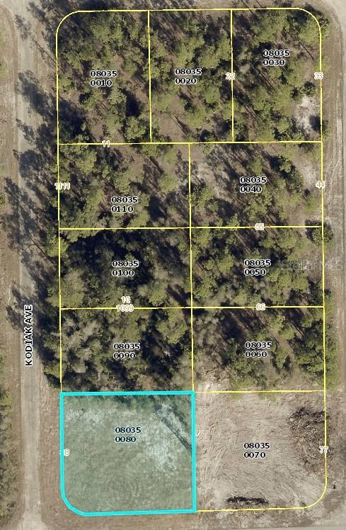 1015 Kodiak Ave., Lehigh Acres, FL 33974