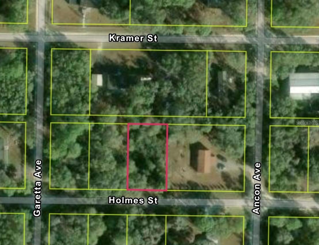35415 Holmes St., Webster, FL 33597