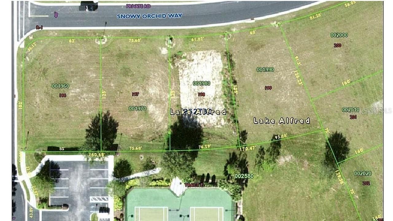 225 N Snowy Orchid Way, Lake Alfred, FL 33850