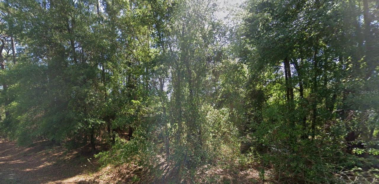 lot 84 SE 99th Ave., Belleview, FL 34420
