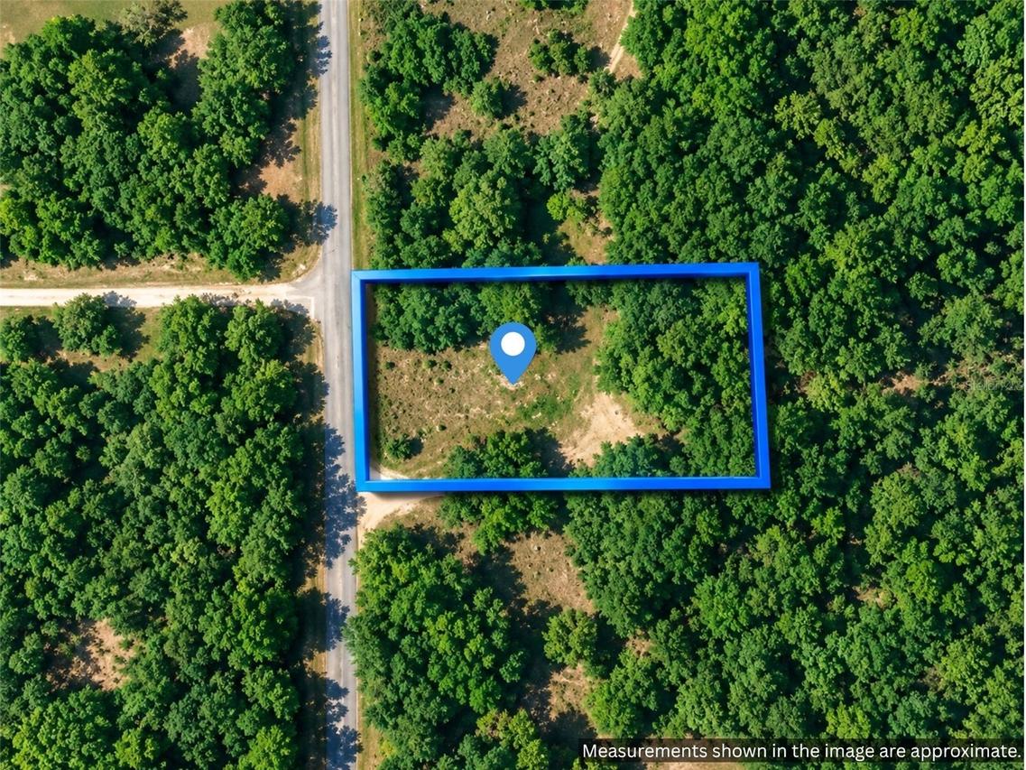 Shasta St., Webster, FL 33597