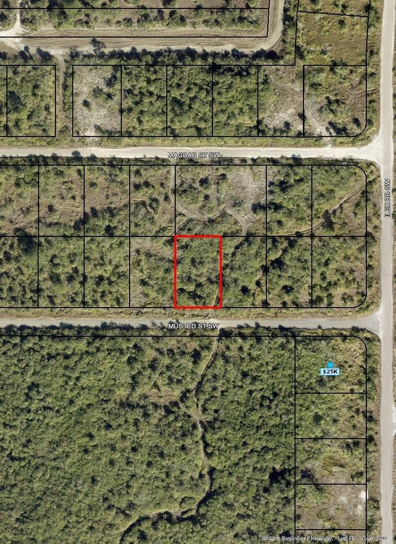 1319 Musted St., Palm Bay, FL 32908