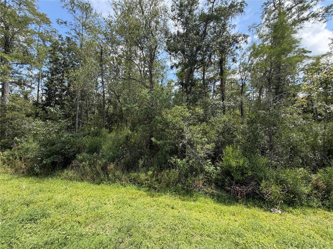 Starry St., Orlando, FL 32833