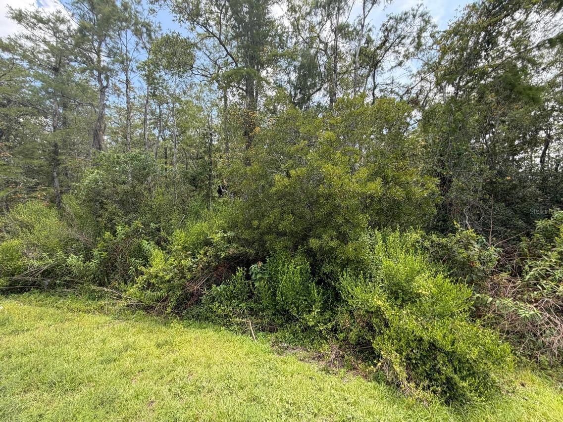 Tunbridge St. #11A, Orlando, FL 32833