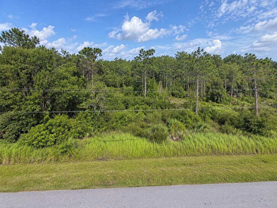 Topeka Ave., St Cloud, FL 34773
