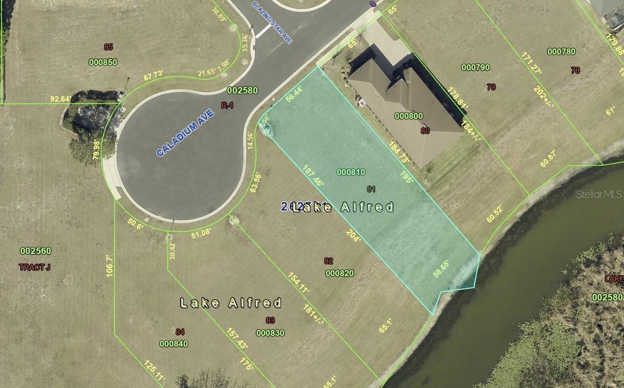 120 Caladium Ave., Lake Alfred, FL 33850