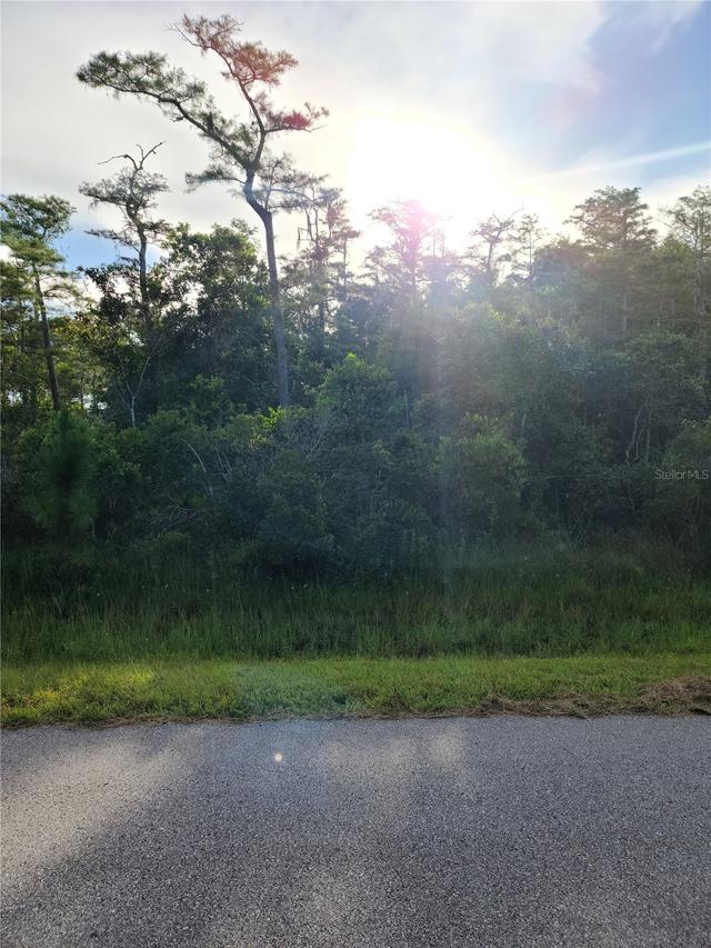 Pierre Ave. #Lot 162, St Cloud, FL 34773
