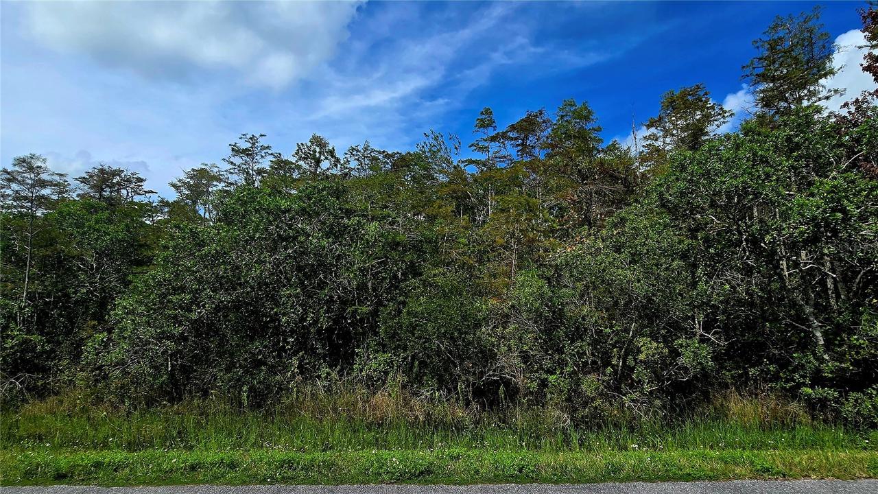 Pierre Ave. #Lot 162, St Cloud, FL 34773