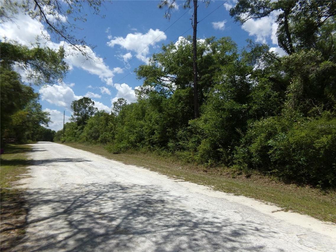Knoxville Dr, Webster, FL 33597
