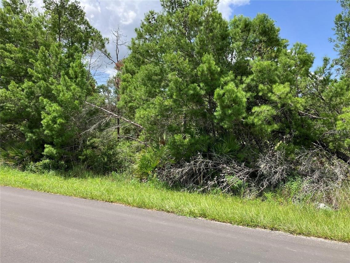 Forehand Rd., Davenport, FL 33896