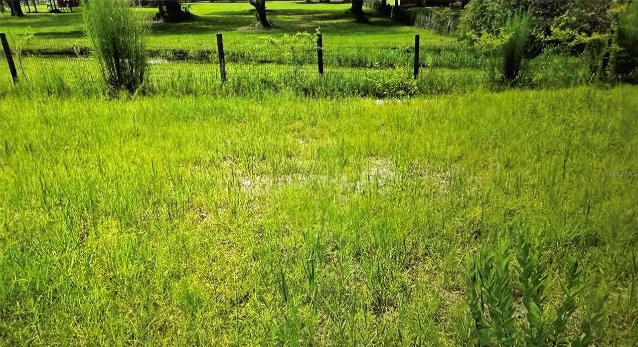 County Road 727, Webster, FL 33597