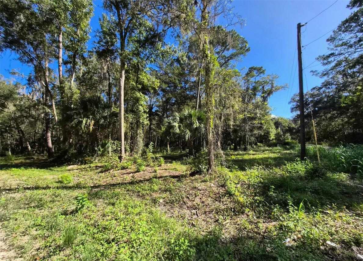 SW 16th Pl., Ocala, FL 34481