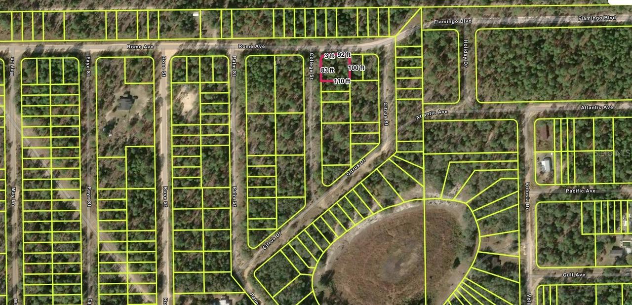 113 Rome Ave., Interlachen, FL 32148