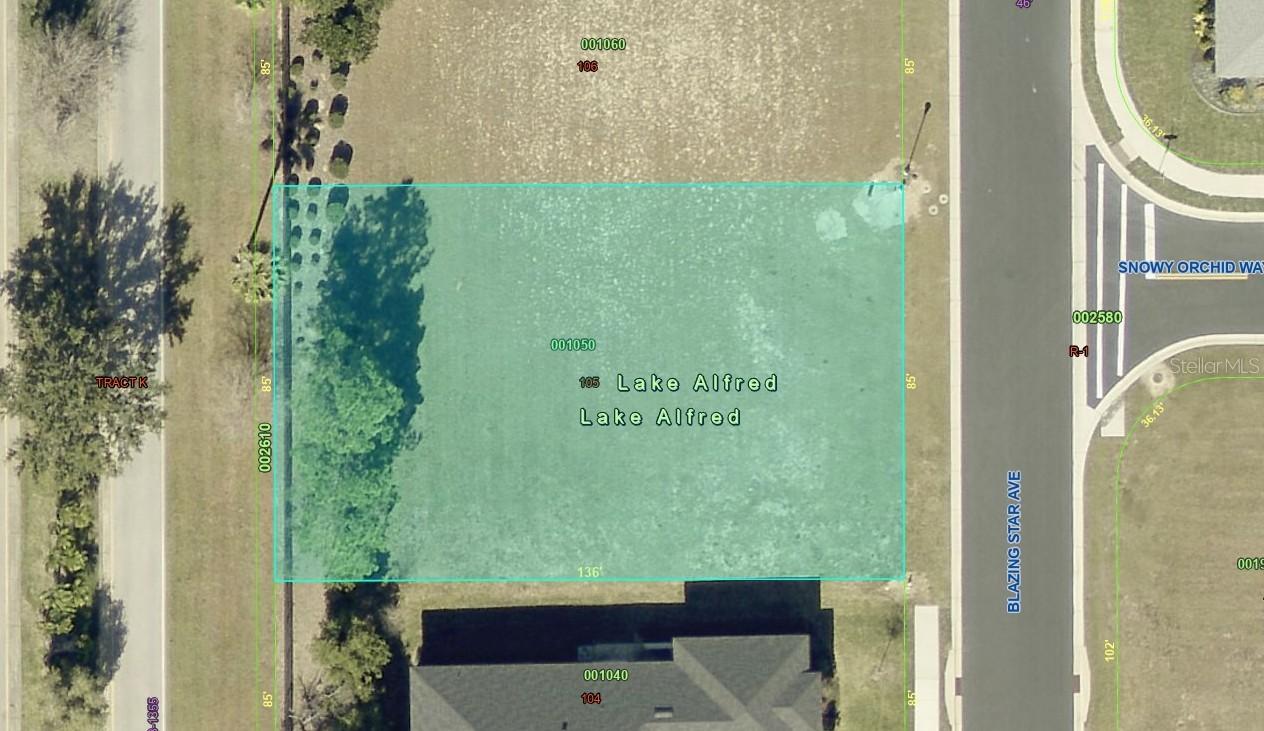 199 Blazing Star Ave., Lake Alfred, FL 33850