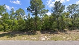 5148 W Deputy Dr., Beverly Hills, FL 34465