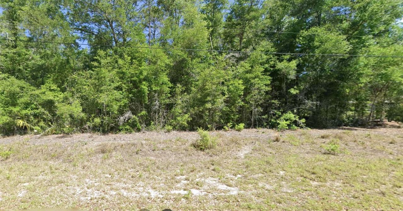 Sw Robin Dr, Dunnellon, FL 34431