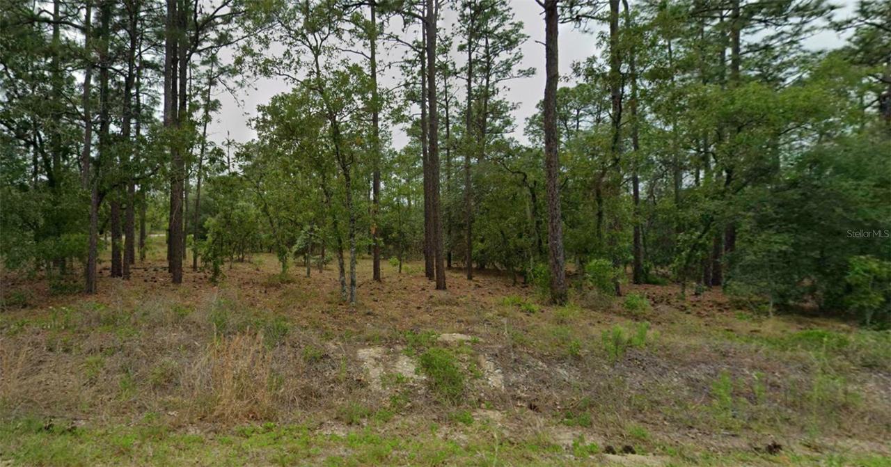 Southeast 129th Court, Dunnellon, FL 34431