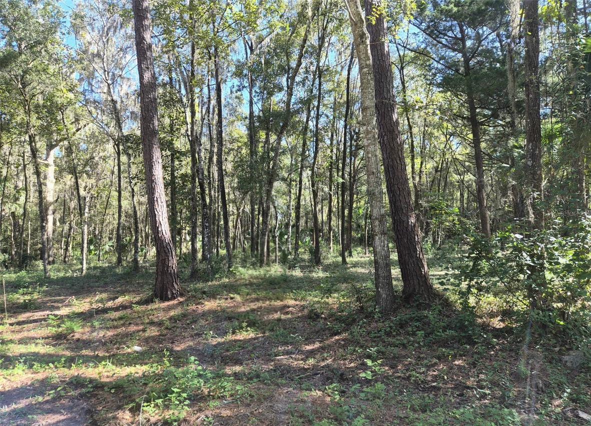 SW 16th Pl., Ocala, FL 34481