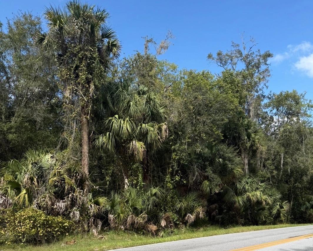 Old Kissimmee Rd., Davenport, FL 33896