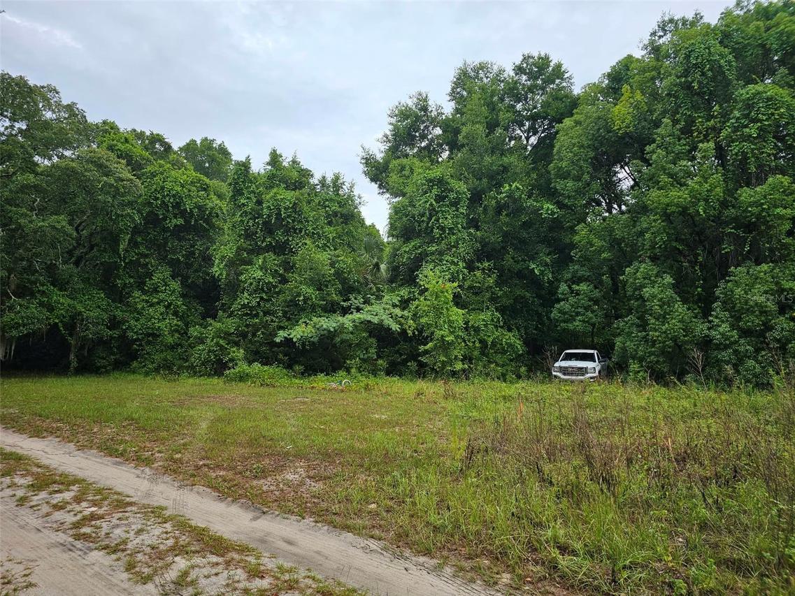 000 SE Se 140th Ter., Ocklawaha, FL 32179