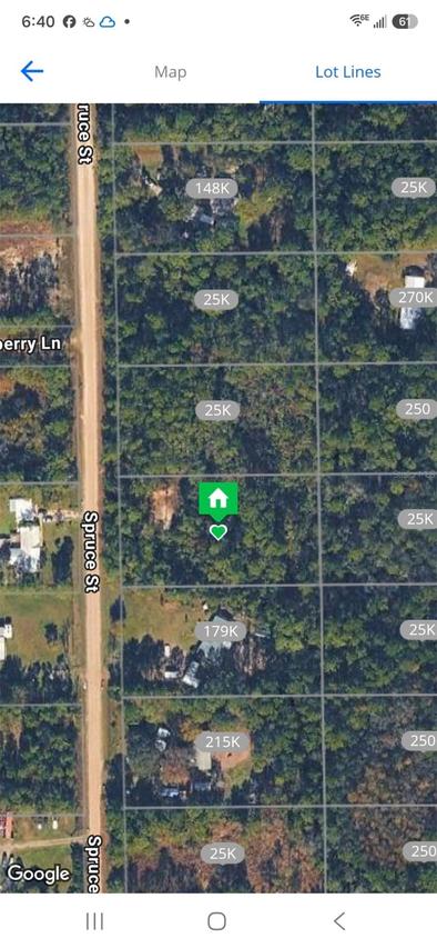2737 Spruce St., Bunnell, FL 32110